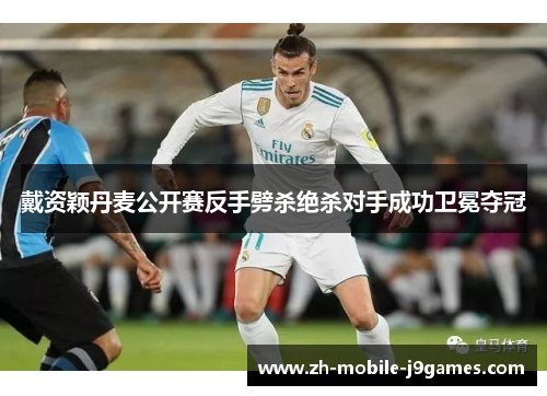 戴资颖丹麦公开赛反手劈杀绝杀对手成功卫冕夺冠